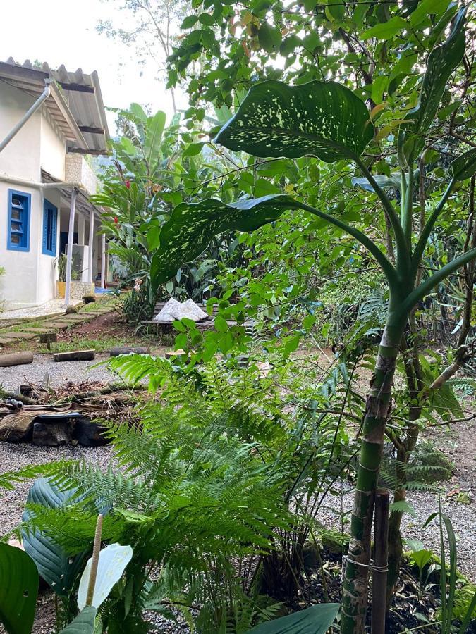 Casa Dos Ventos - Refugio, Sustentabilidade, Conexao Убатуба Экстерьер фото
