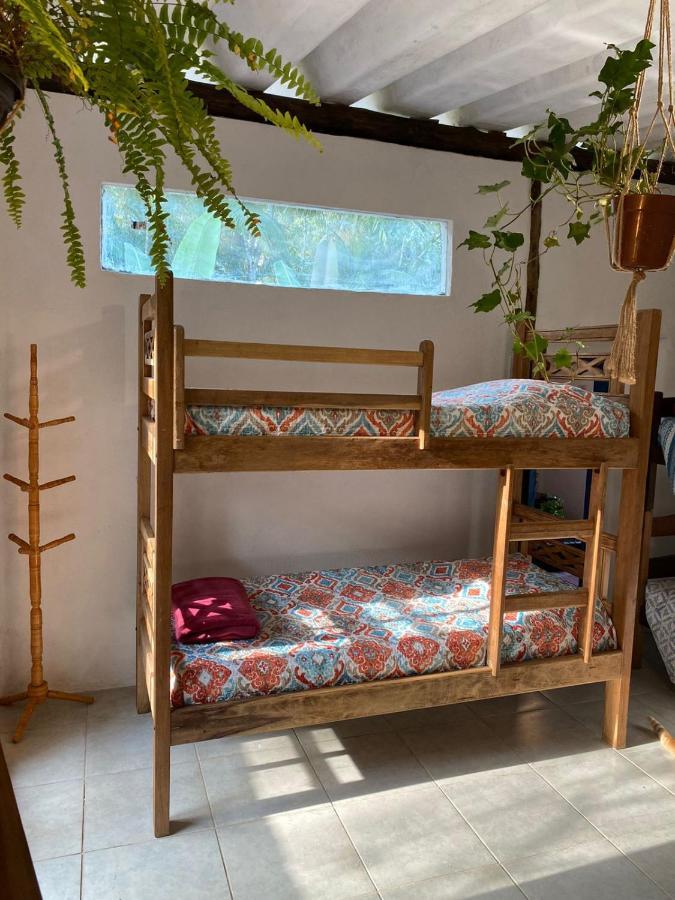 Casa Dos Ventos - Refugio, Sustentabilidade, Conexao Убатуба Экстерьер фото