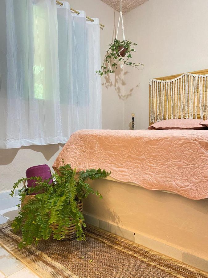 Casa Dos Ventos - Refugio, Sustentabilidade, Conexao Убатуба Экстерьер фото